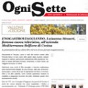 Ogni Sette